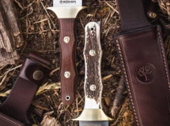 Colmillo Stag -Magnum || United Cutlery || SOG Verkaufsgeschäft boeker arbolito colmillo stag 02ba918hh 5 1280x1280