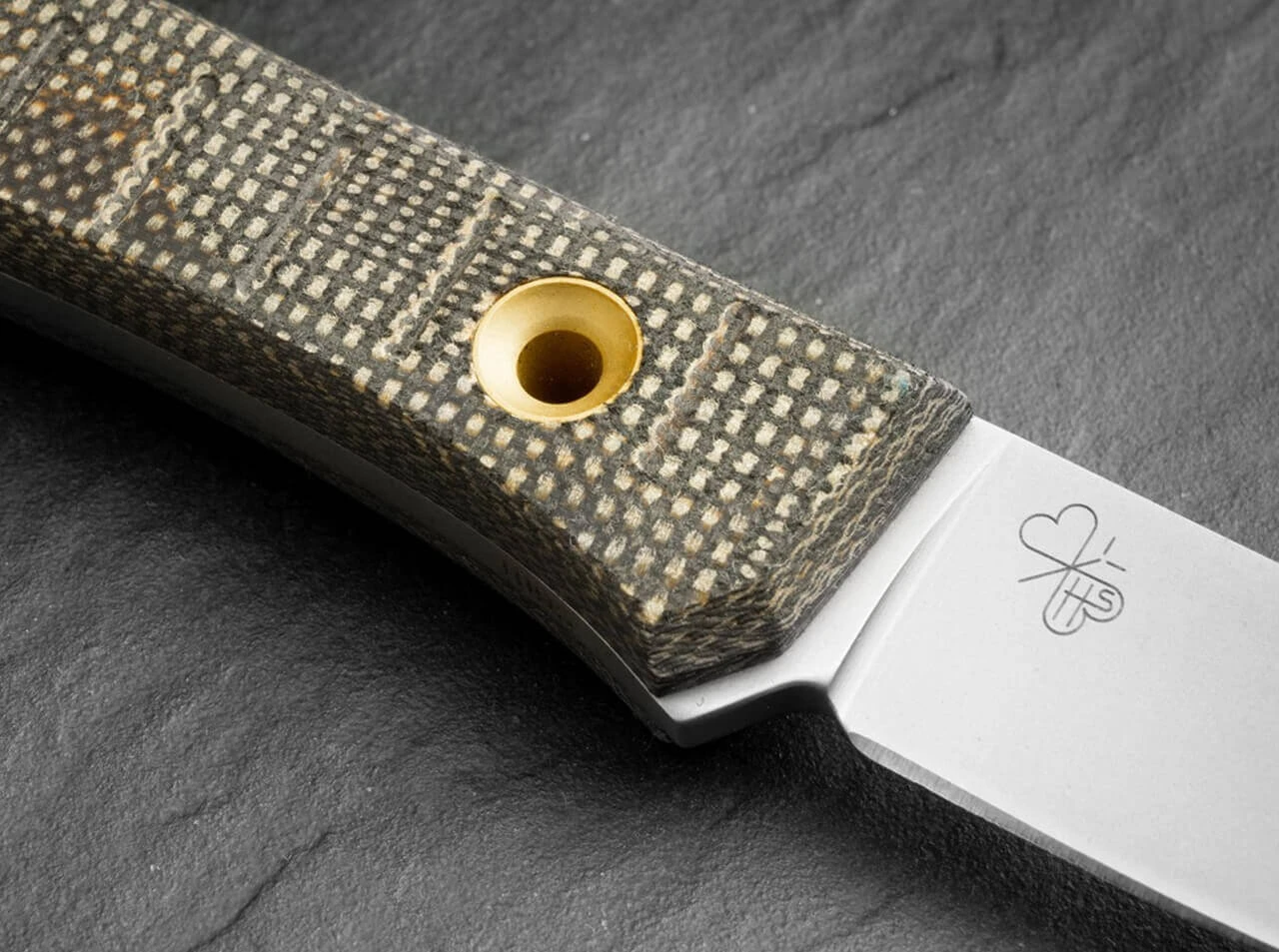 Bark Beetle 9 Bark Beetle – Bild 9