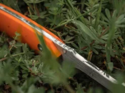 Magnum EFD -Magnum || United Cutlery || SOG Verkaufsgeschäft magnum efd 02ry055 8 1280x1280