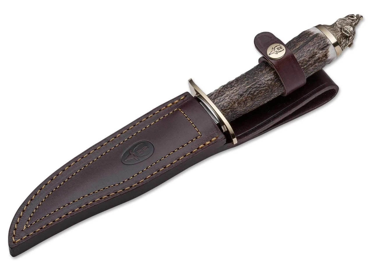 Wildboar Hirschhorn 2 Wildboar Hirschhorn – Bild 2